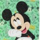 Set creativ cu cristale Happy Mickey, colectia Disney, 18x18 cm, Craft Buddy