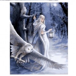 Set creativ de pictat Pictura pe numere, Midnight Messenger Anne Stokes, 40x50cm, Craft Buddy