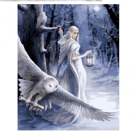 Set creativ de pictat Pictura pe numere, Midnight Messenger Anne Stokes, 40x50cm, Craft Buddy 