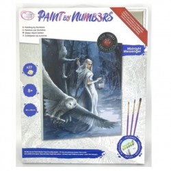 Set creativ de pictat Pictura pe numere, Midnight Messenger Anne Stokes, 40x50cm, Craft Buddy