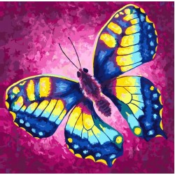 Set creativ de pictat Pictura pe numere, Chage - Rachel Froud, 30x30cm, Craft Buddy
