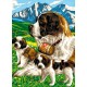 Set creativ pictura - JPBN - Caini St. Bernard, 24x33x2cm, Sequin Art 