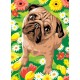 Set creativ pictura - JPBN - Catel pug, 24x33x2cm, Sequin Art Art & Craft