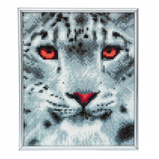 Set creativ Crystal Art in rama foto argintie Snow Leopard 21x25cm, Craft Buddy Art & Craft