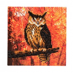 Set creativ tablou cu cristale Autumn Owl 18x18cm, Craft Buddy