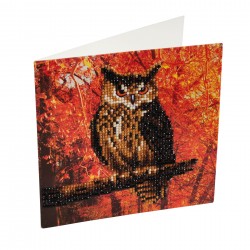 Set creativ tablou cu cristale Autumn Owl 18x18cm, Craft Buddy