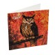 Set creativ tablou cu cristale Autumn Owl 18x18cm, Craft Buddy Art & Craft