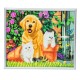 Set creativ Crystal Art in rama foto argintie Cat and Dog: Friends for Life 21x25cm, Craft Buddy Art & Craft