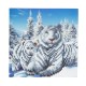 Set creativ tablou cu cristale Snowy White Tigers 18x18cm, Craft Buddy Art & Craft